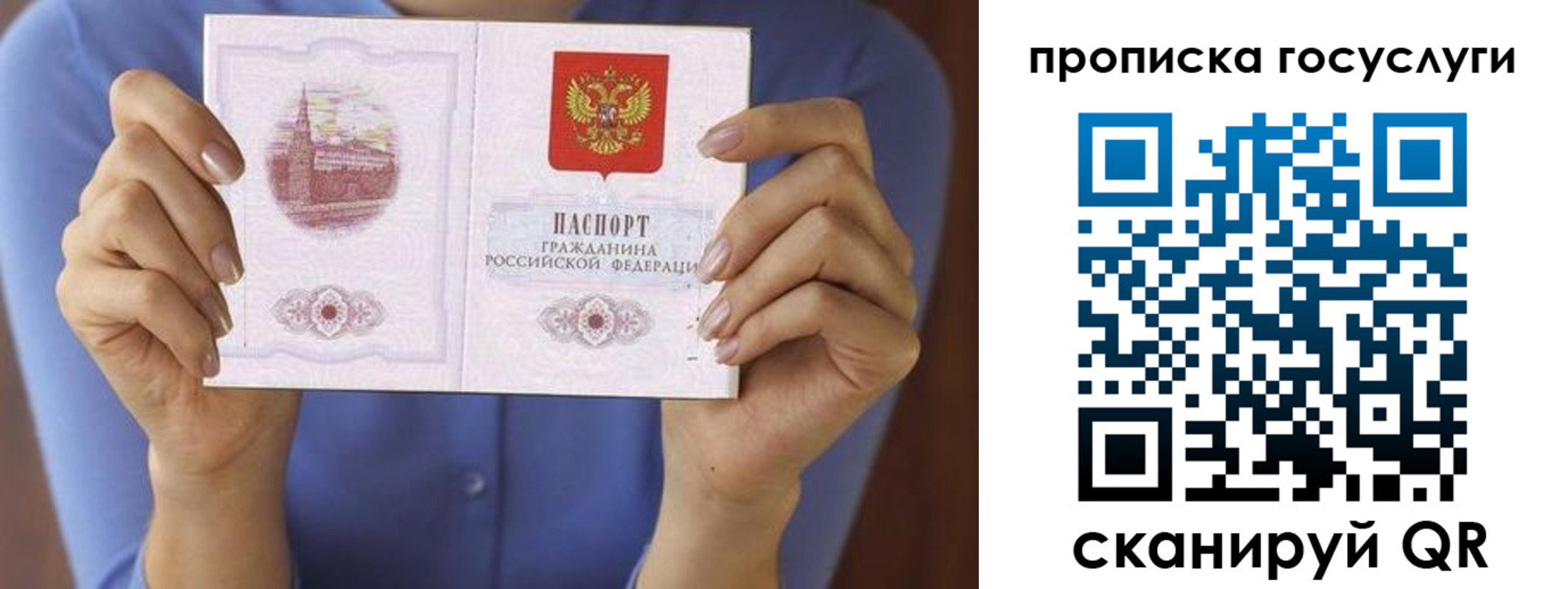 миграционный учет в Фрязино